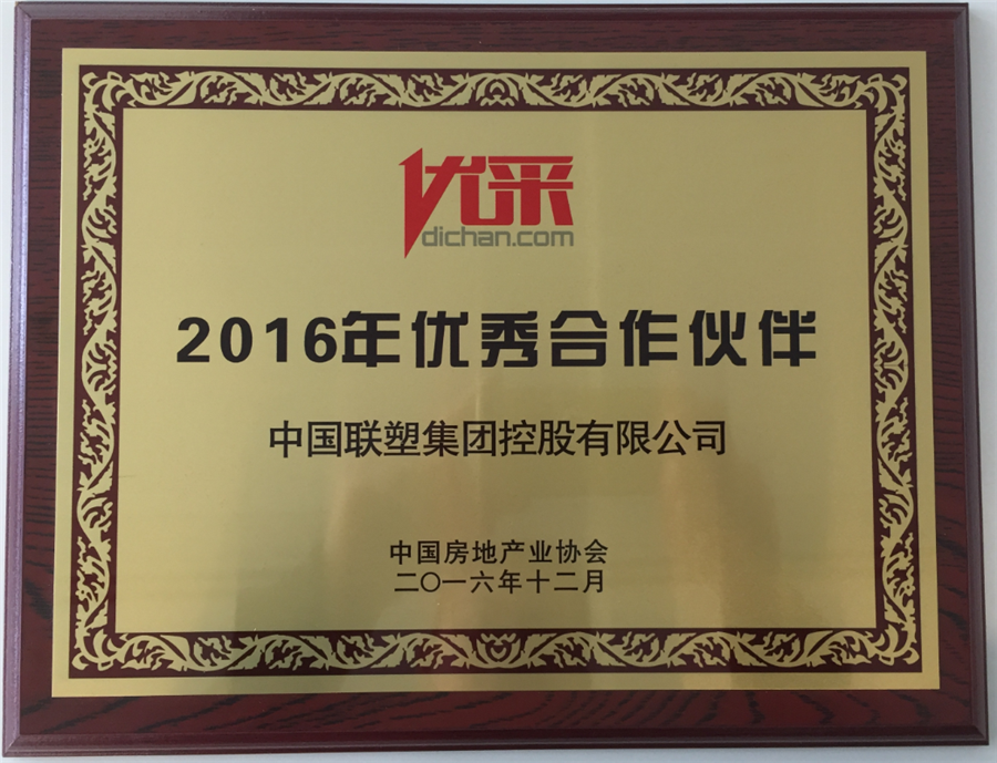 2016年優(yōu)秀合作伙伴(中國聯(lián)塑)