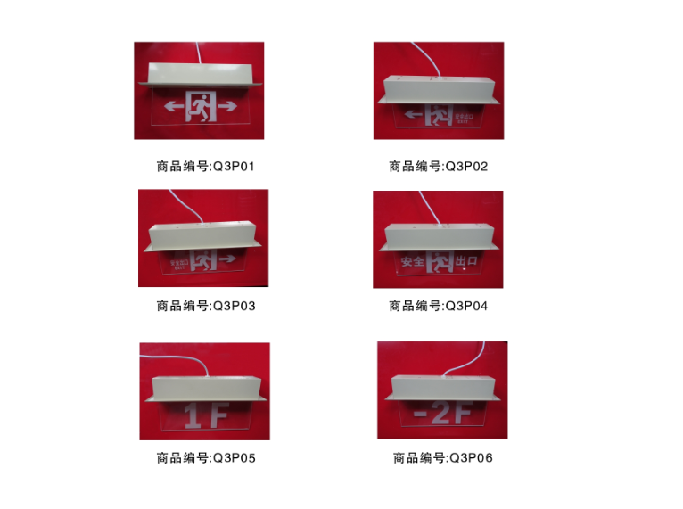 LS-BLZD-2LROE I 2W-Q3型消防應(yīng)急標志燈（嵌頂式）消防